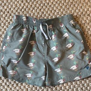 Pink Chicken Kids Swim Shorts - Green with Duck Print